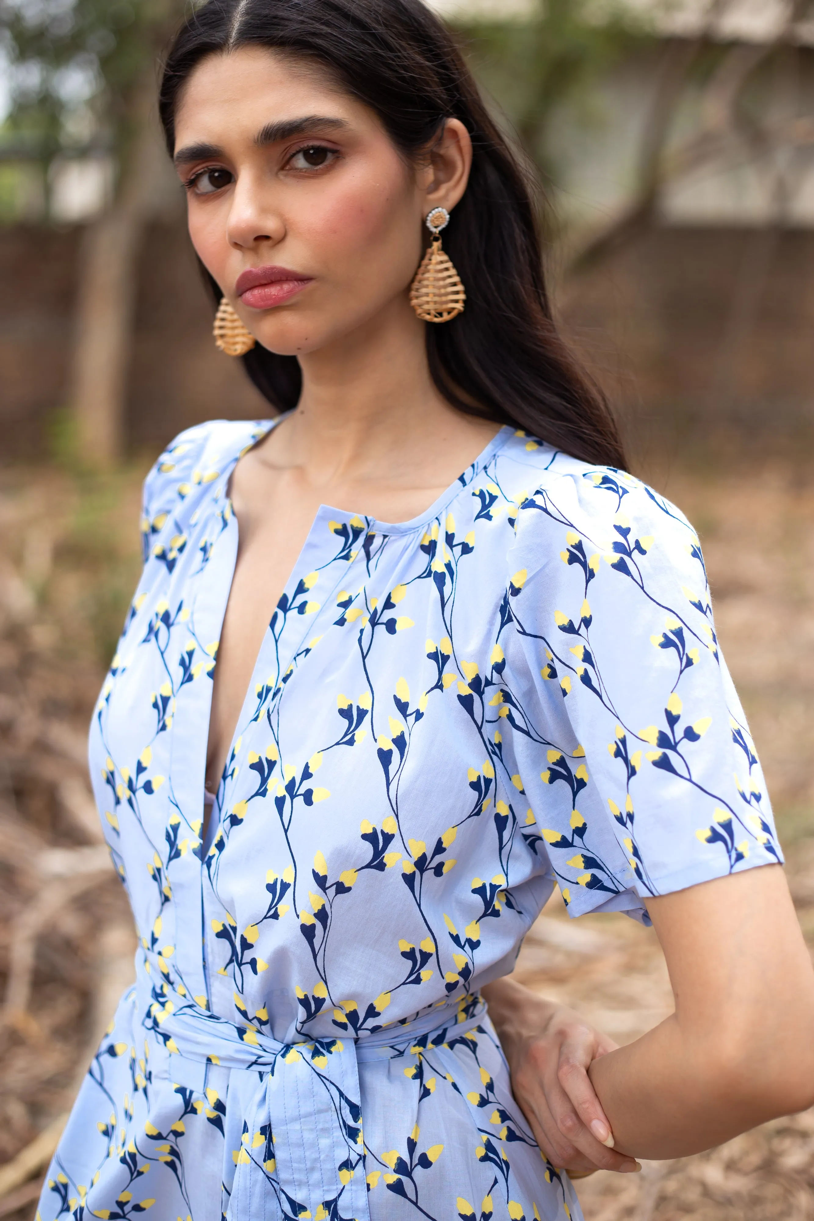 1363 Suzi