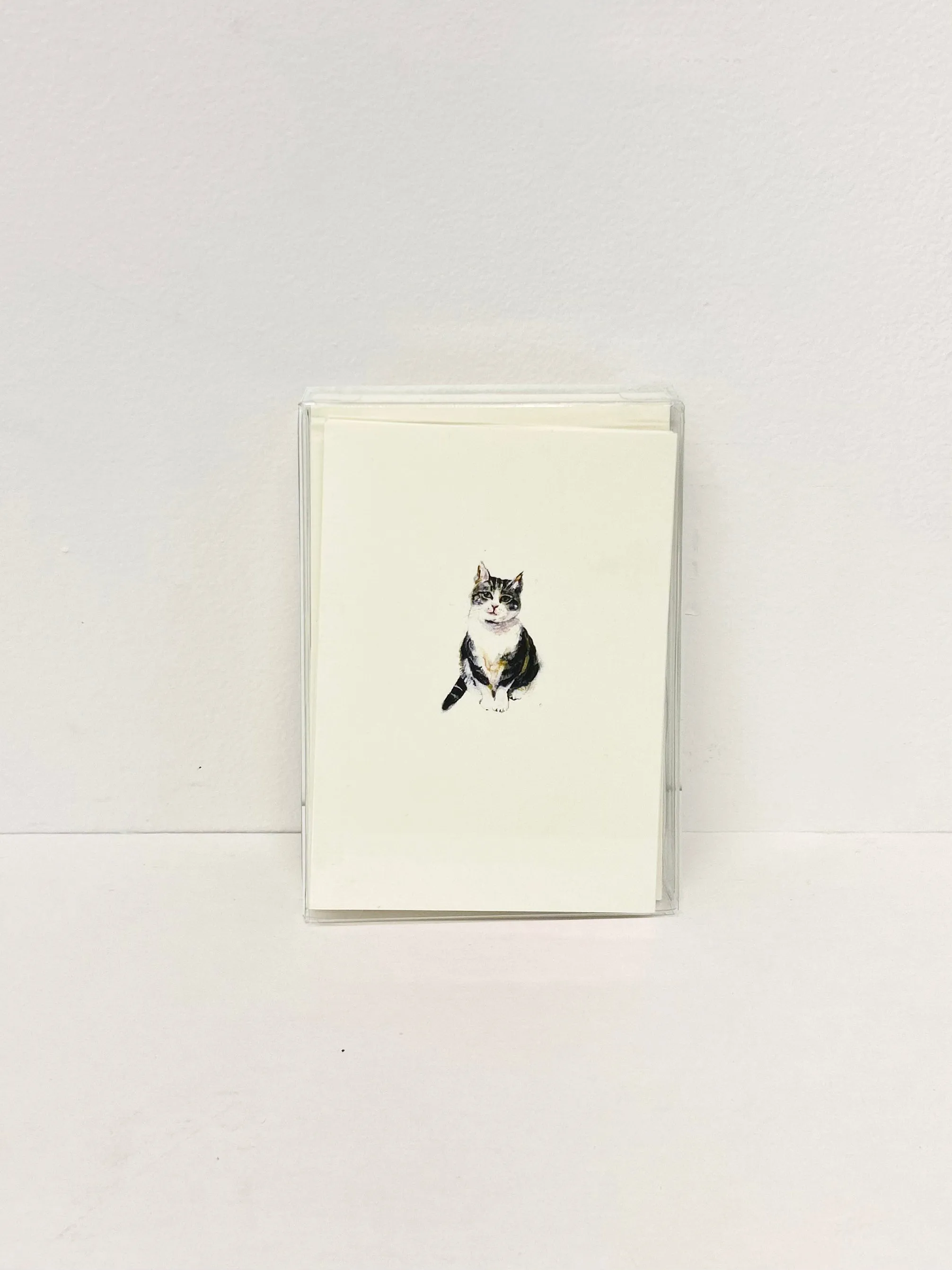 Assorted Box Set: Pets AD1