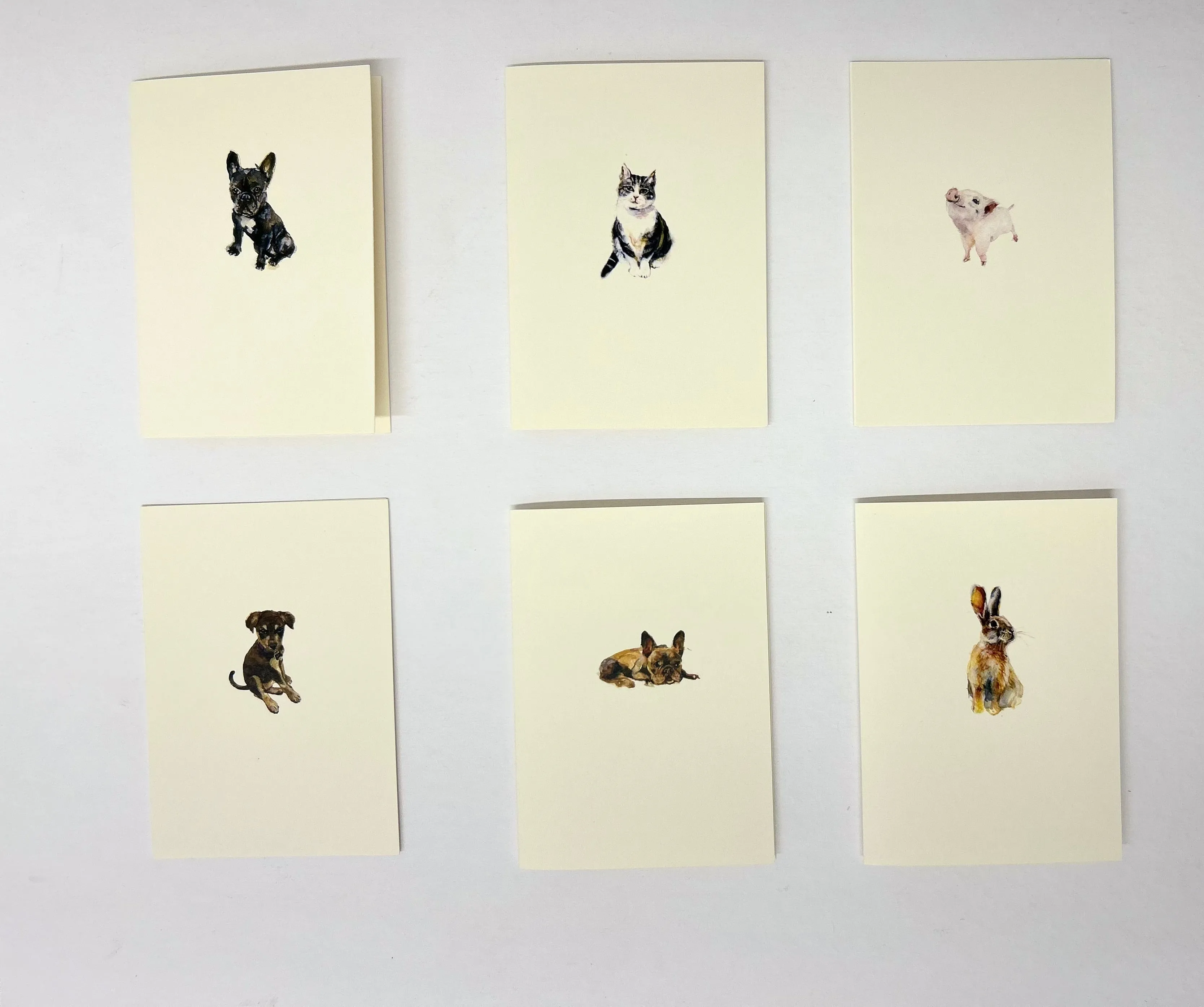 Assorted Box Set: Pets AD1