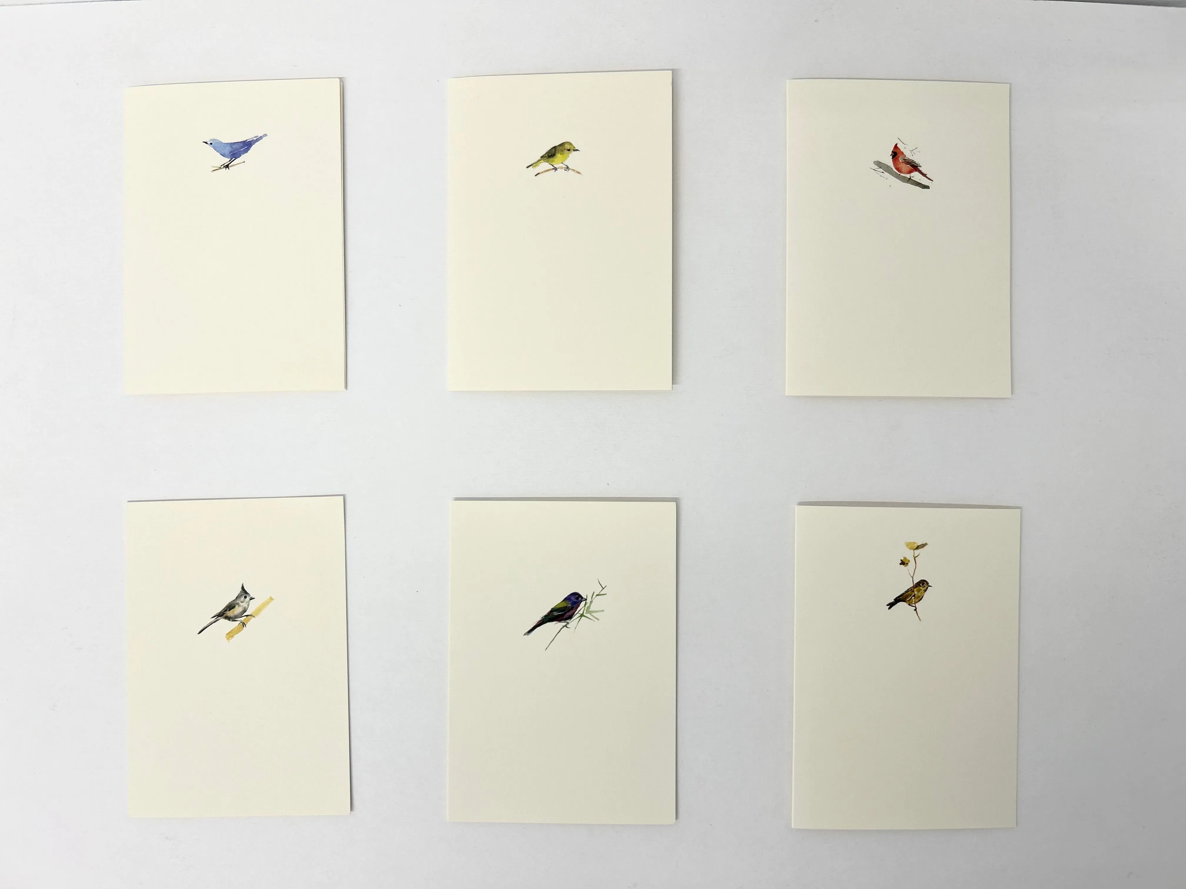 Assorted Box Set: Sae (Birds) AS1