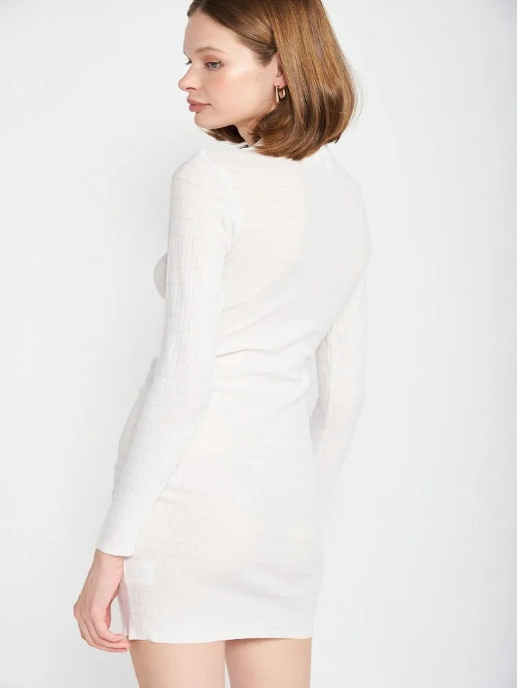 Chary Collared Mini Dress