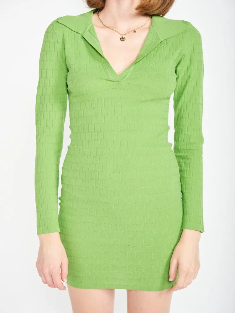 Chary Collared Mini Dress