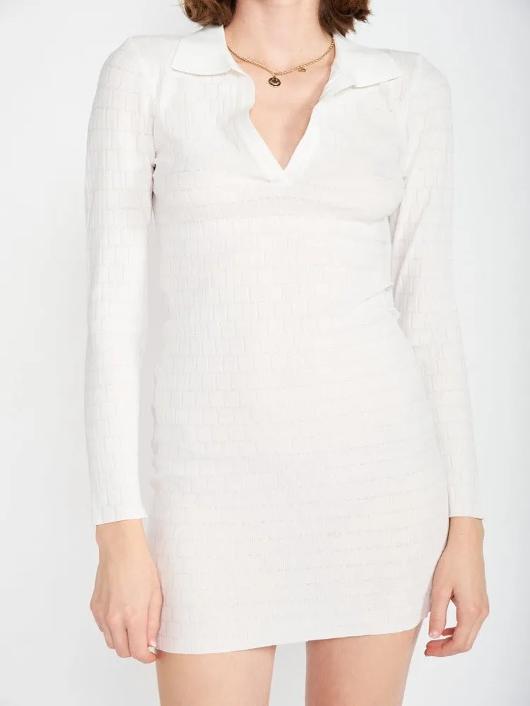 Chary Collared Mini Dress