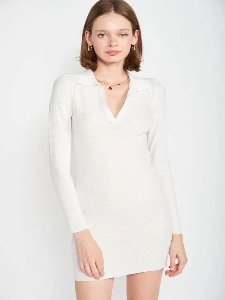Chary Collared Mini Dress