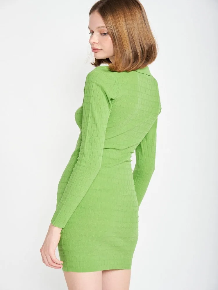Chary Collared Mini Dress