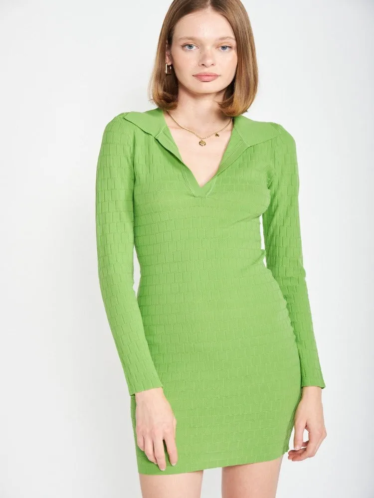 Chary Collared Mini Dress