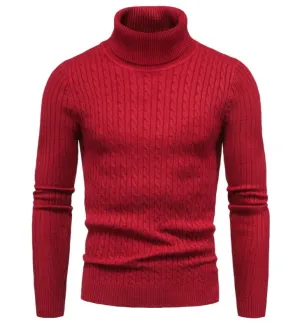 Franz - Einfarbiger Rollkragenpullover aus Wolle