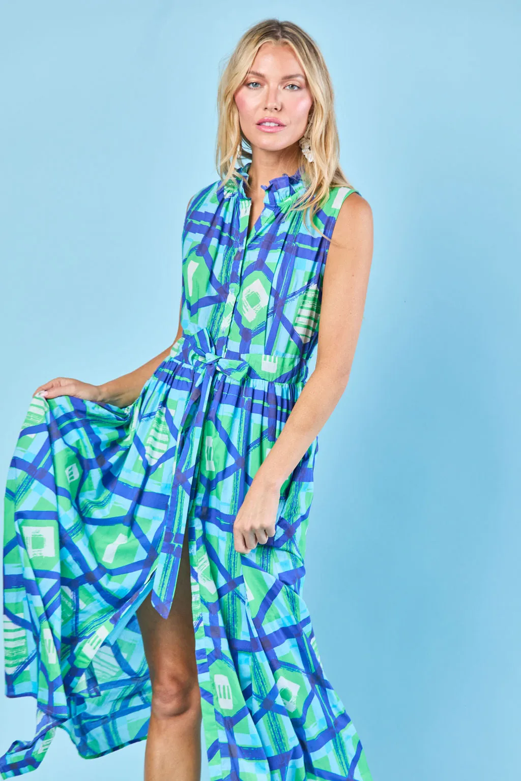 Ivy Dress in Navy Picnic