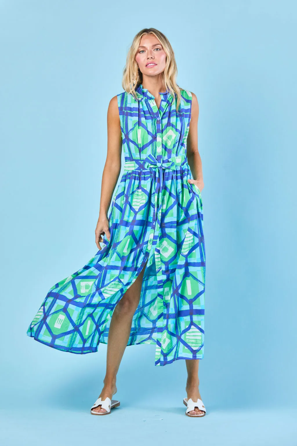 Ivy Dress in Navy Picnic