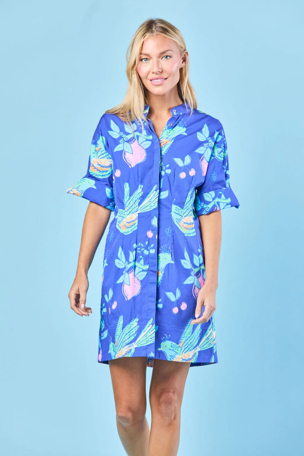 Parker Dress in Indigo Songbird