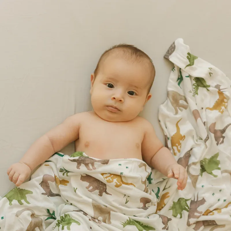 Stretch Knit Crib Sheet