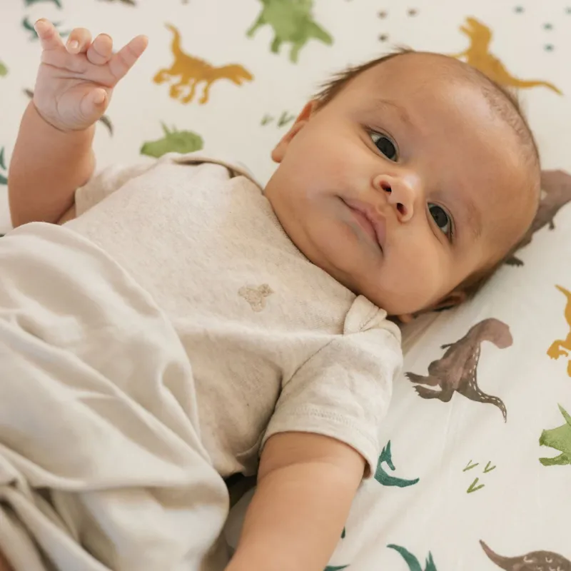 Stretch Knit Crib Sheet