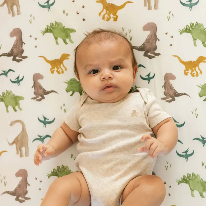 Stretch Knit Crib Sheet