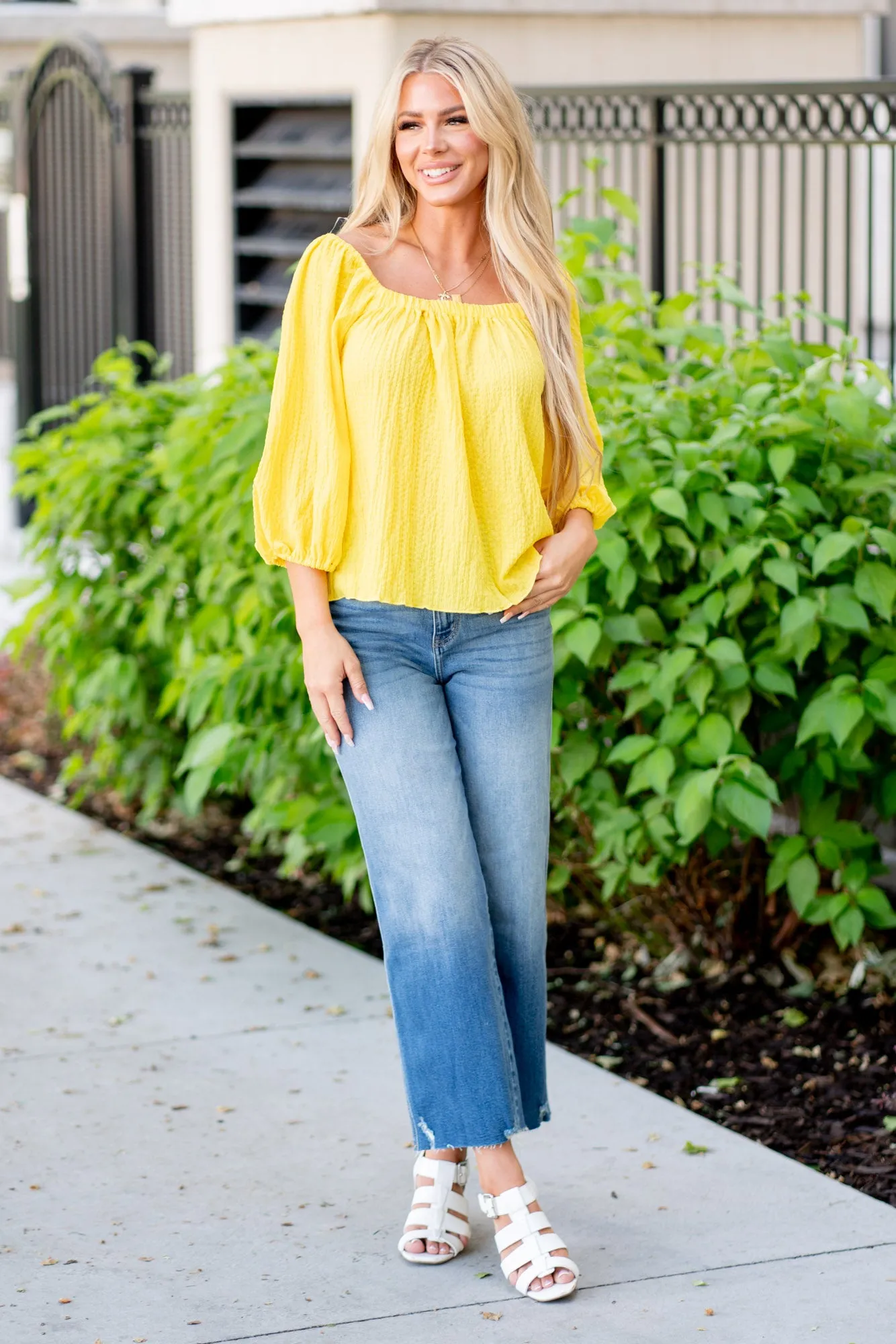 Texture Square Neck Puff Sleeve Top