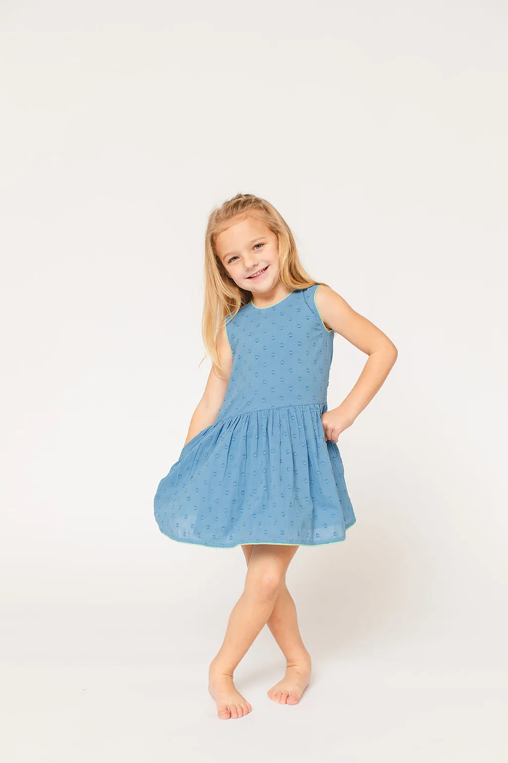 The Sully Dress - Swiss Dot Butterfly Blue