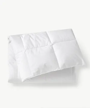 Warm and Comfort Goose Duvet Insert